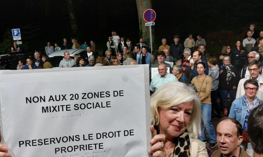 Bois-le-Roi : une centaine de propriétaires proteste contre les logements sociaux imposés