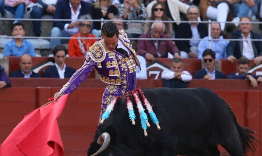 Botijero, un toro de Capea con más clase que la Universidad de Salamanca