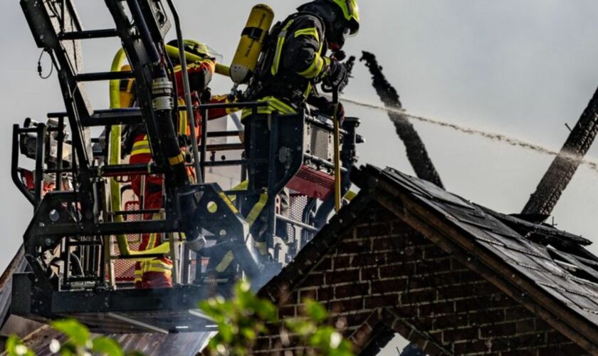 15 Tiere konnte bei einem Scheunenbrand in Sicherheit gebracht werden. Foto: Axel Heimken/dpa