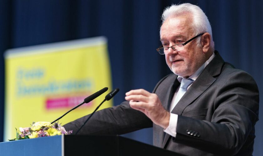 Brandenburg-Wahl: FDP-Vize Kubicki stellt Ampel vor Ultimatum