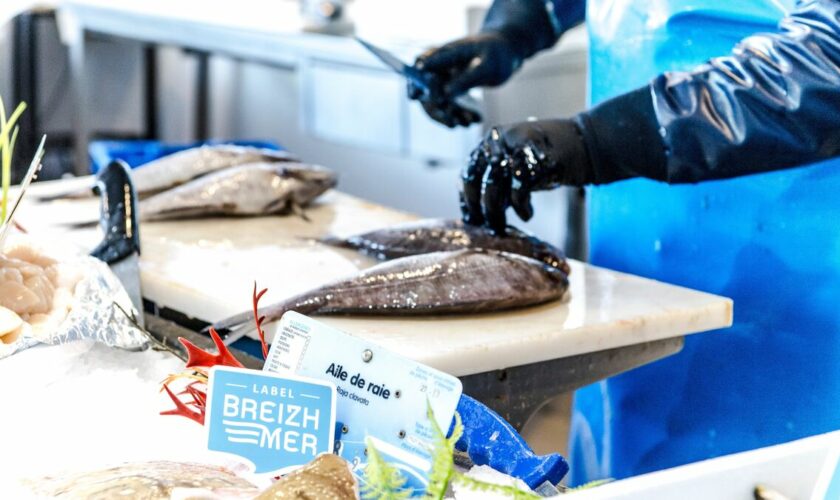 BreizhMer, un nouveau label pour acheter des poissons et des crustacés 100 % bretons