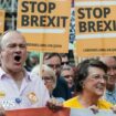 Brexit truce as pro-EU Lib Dems focus on long game