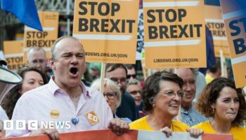 Brexit truce as pro-EU Lib Dems focus on long game