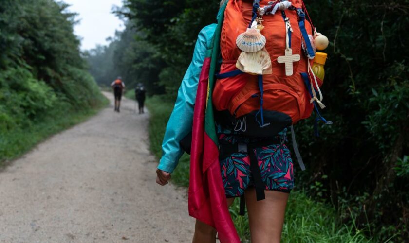 Chemins de Compostelle : au long des 100 derniers kilomètres