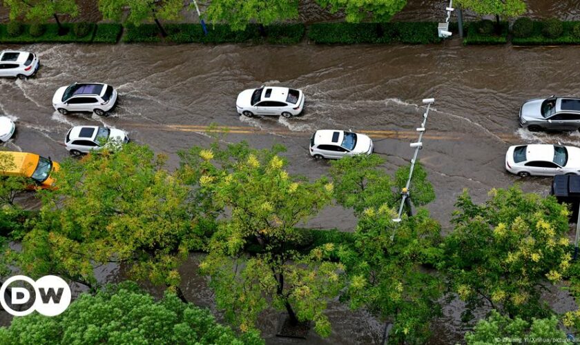 China's Shanghai hit by second major typhoon in a week