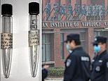 Chinese lab linked to Covid leak may have also released ANOTHER deadly virus, new research claims