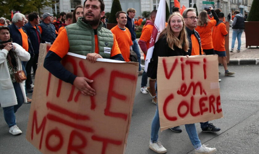 Cognac : les viticulteurs en crise, dans la rue pour la première fois depuis 1998, veulent rencontrer Barnier