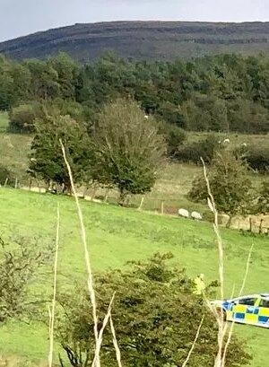 Cumbria shooting: Boy, 8, fatally shot in head 'was hunting for rabbits' on farm