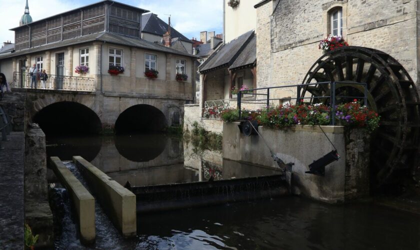 Dans le centre-ville de Bayeux, la rivière Aure s’est refait un lit : les poissons disent merci !