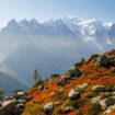 Des alpinistes coréens et italiens toujours bloqués sur le Mont Blanc