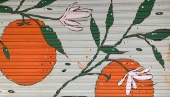 Diez artistas urbanos pintarán en Valencia persianas de comercios y garajes del barrio de Ruzafa