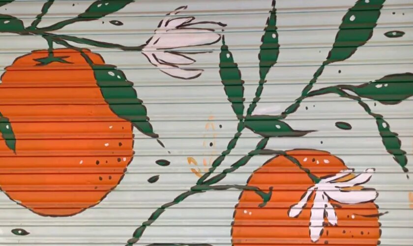 Diez artistas urbanos pintarán en Valencia persianas de comercios y garajes del barrio de Ruzafa