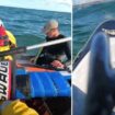 Dramatic moment windsurfer is thrown into the sea - but is saved by his 'only lifeline'