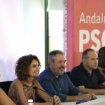 El PSOE andaluz tendrá una cuarta parte de los delegados del Congreso Federal de Sevilla