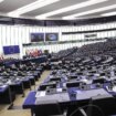 El Parlamento Europeo aprueba el reconocimiento de Edmundo González como presidente "legítimo" de Venezuela con el apoyo de los socialistas portugueses