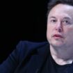 Elon Musk: Tesla-Chef will sich mit Krankenstand im Werk Grünheide befassen