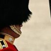 End of the King's Guards' bearskin caps? Campaigners demand change as cost of real fur headwear hits £2,000 each