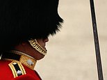 End of the King's Guards' bearskin caps? Campaigners demand change as cost of real fur headwear hits £2,000 each