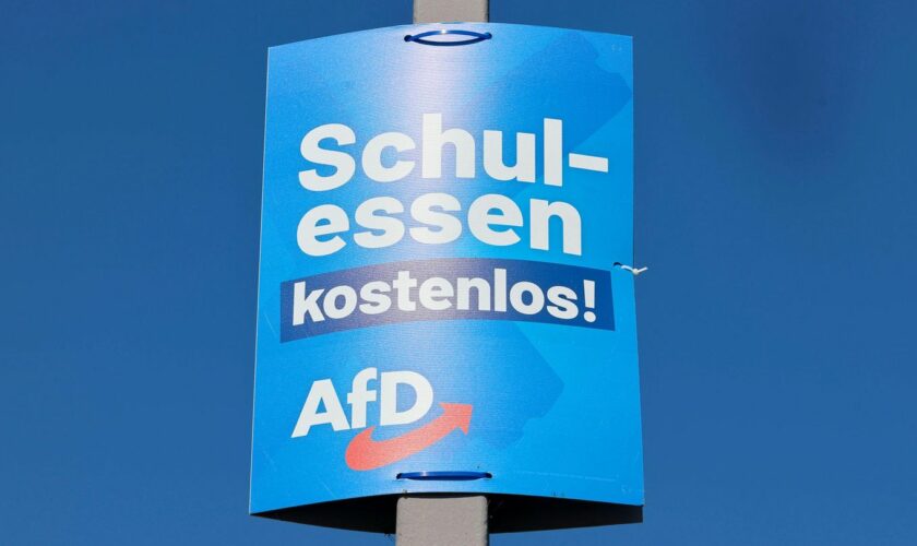 Erfolg bei den Landtagswahlen: Darum haben so viele junge Menschen in Sachsen und Thüringen die AfD gewählt