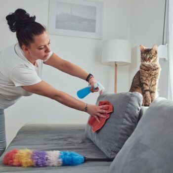 Expert’s cleaning hack to remove chocolate from furniture - one thing you should never do