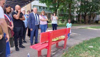 Féminicide à Rosny-sous-Bois : le conjoint « possédé » a été interné en hôpital psychiatrique