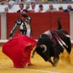 Feria de Otoño en Las Ventas, en directo: despedida de Enrique Ponce hoy y última hora de David Galván y Samuel Navalón