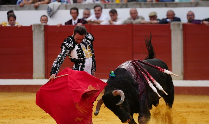 Feria de Otoño en Las Ventas, en directo: despedida de Enrique Ponce hoy y última hora de David Galván y Samuel Navalón