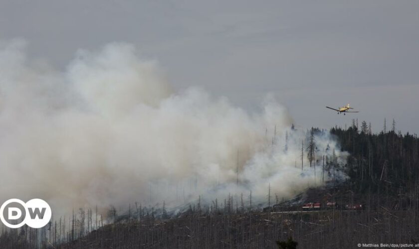 Feuerfront wütet am Brocken im Nationalpark Harz