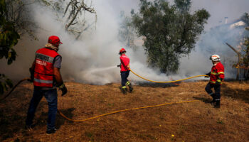 Feux de forêt dévastateurs : le Portugal appelle à l’aide européenne