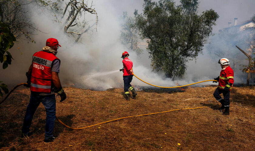 Feux de forêt dévastateurs : le Portugal appelle à l’aide européenne