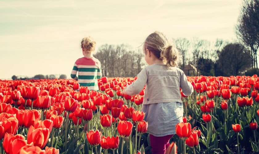 Finalement, être un enfant aux Pays-Bas n'est pas si cool qu'on le pense