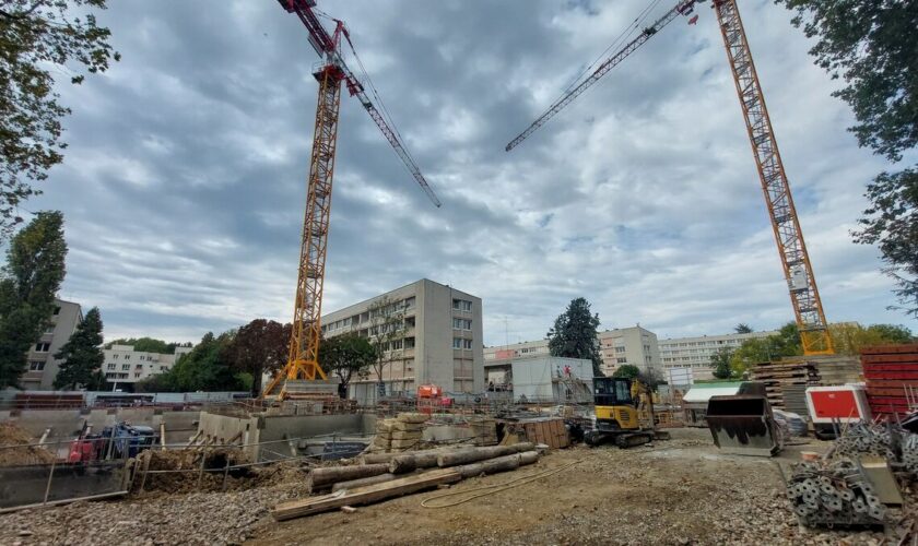 Fontenay-aux-Roses : la rénovation du quartier est lancée, les habitants du Paradis sortent du purgatoire