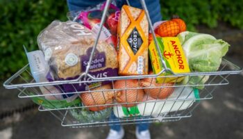 Food shoppers may be paying fifth more at small stores than at supermarkets