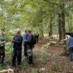 Forêt de Chantilly : ne touchez pas aux cagettes en bois !