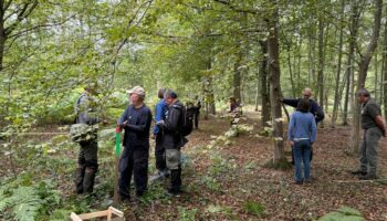 Forêt de Chantilly : ne touchez pas aux cagettes en bois !