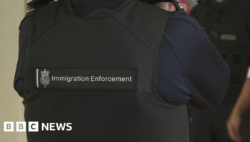 Fourteen NI immigration arrests made in three days