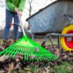 Gardeners urged to put a piece of carpet in their garden this weekend