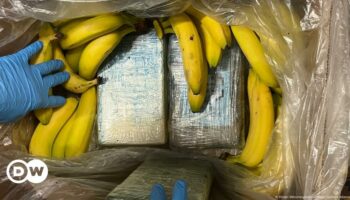 German supermarket finds €7M of cocaine in crates of bananas