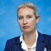 Germany: AfD leaders pick Weidel for chancellor candidate