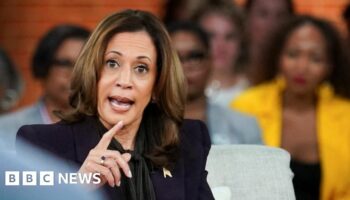 Harris says anyone breaking into her home is 'getting shot'