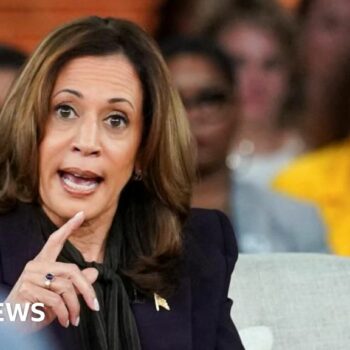 Harris says anyone breaking into her home is 'getting shot'