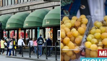 Harrods sells bunch of grapes for huge £60 - a staggering £3 per grape