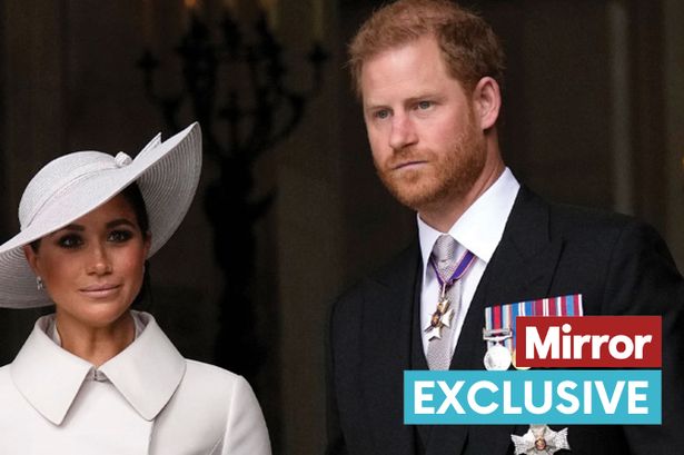 Harry and Meghan 'becoming increasingly close to two royals as virtual outcasts in the family'