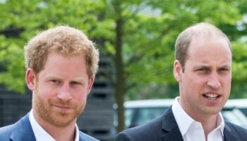 Harry thought he could 'step in' during Royal crisis but William 'drew a line in the sand'