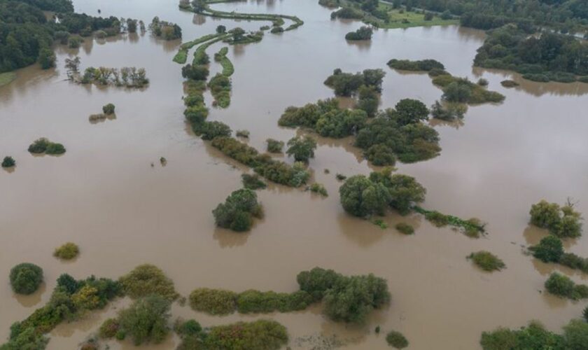 Luftaufnahme der bei Görlitz über die Ufer getretenen Neiße. Foto: Paul Glaser/dpa