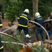 Hochwasser-News live: Polen ruft Katastrophenzustand aus, Staudammbetreiber warnt von Extremsituation im Kamptal