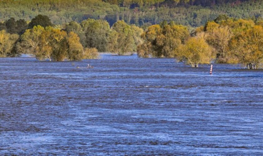 Das Hochwasser an der Oder geht in Brandenburg allmählich zurück (Archivbild). Foto: Patrick Pleul/dpa