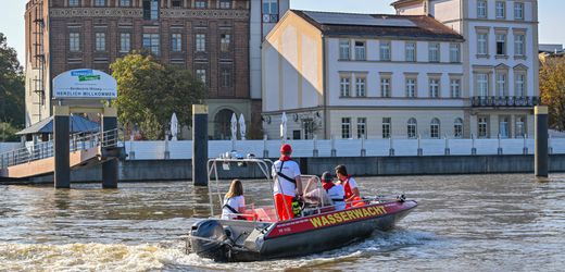 Hochwasser in Brandenburg: Landkreis Oder ruft höchste Alarmstufe aus