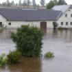 Hochwasser in Nachbarländern: Österreich und Polen kämpfen mit dramatischen Folgen des Dauerregens