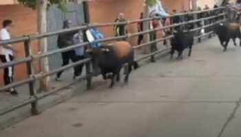 Horrifying moment rampaging bull gores man to death and injures girl, 3, and grandparents